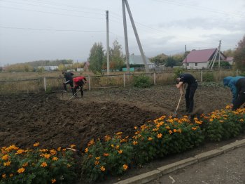 "Огородники" 